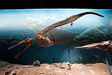 游戏股开盘反弹 大晟文化涨近10%